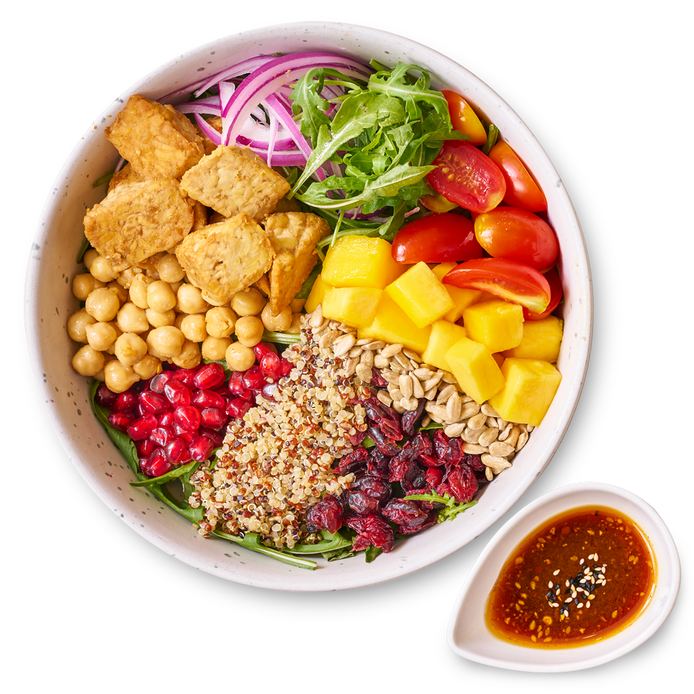 The Vegan Harvest